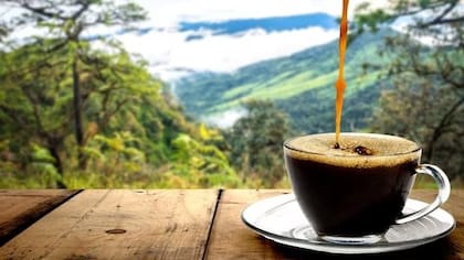 El café contiene una gran cantidad de antioxidantes, que pueden ayudar a proteger contra el daño celular y reducir el riesgo de enfermedades crónicas