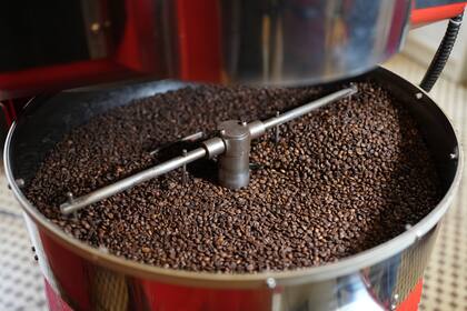 El café funciona por sustracción: absorbe las moléculas responsables del olor