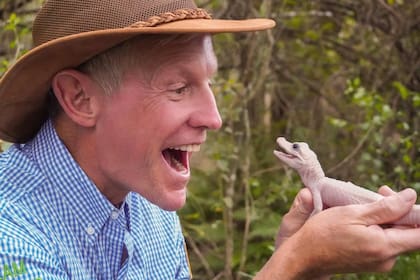 El caimán blanco nacido en Florida es único en el mundo