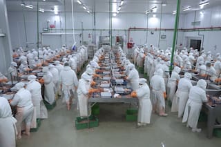 La pesca superó los US$1000 millones en exportaciones y creció casi un 23% en divisas