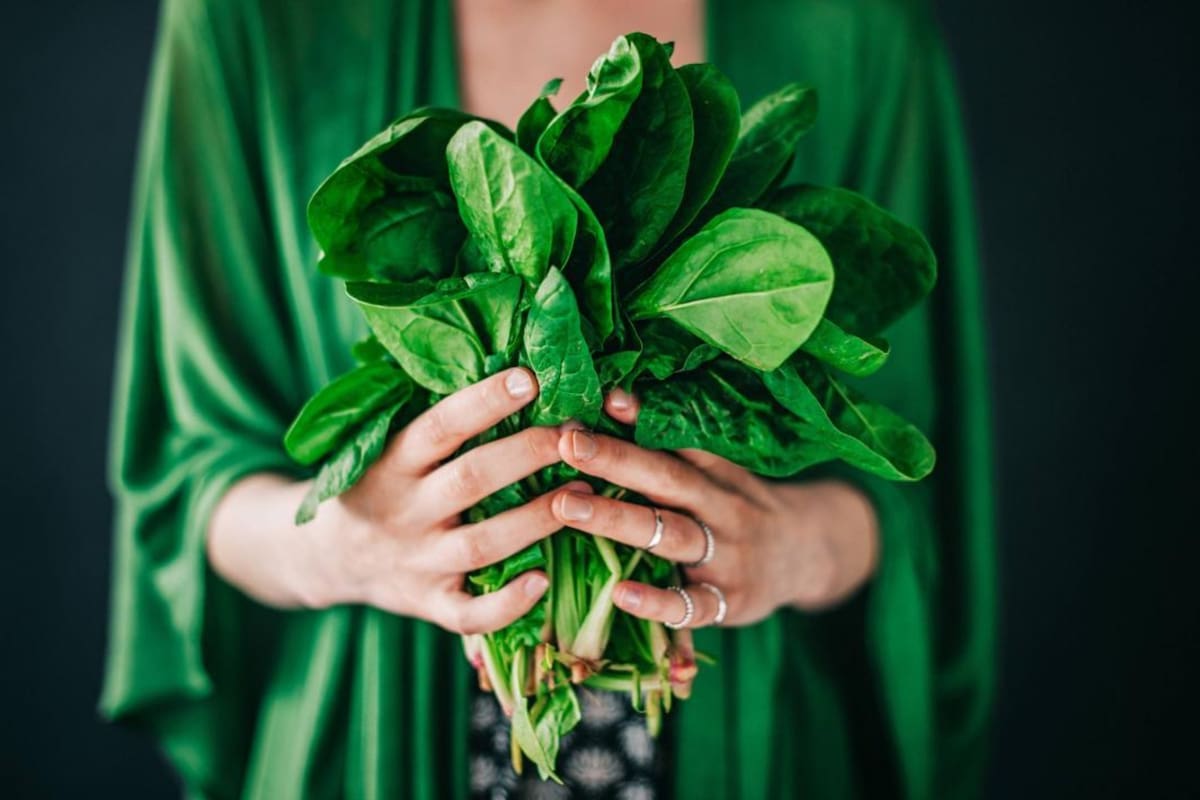 El calcio se obtiene mediante los vegetales de hoja verde como la espinaca, la acelga, el kale, la rúcula y el berro