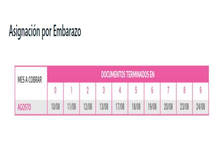 El calendario de pagos para la Asignación Universal por Embarazo, en el mes de agosto.