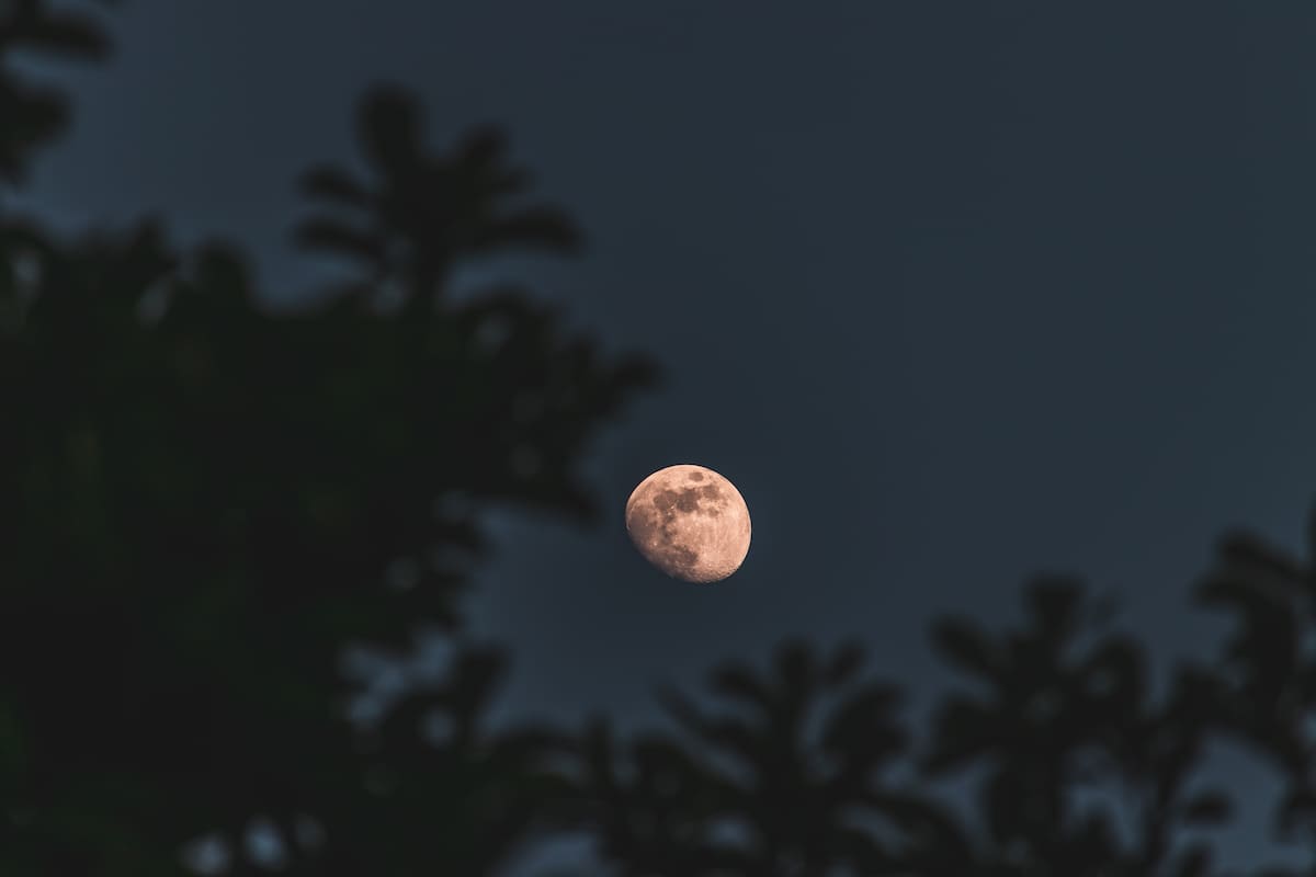 El calendario lunar de junio 2026 ya tiene fechas confirmadas: cuándo será cada fase