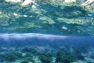 El calentamiento de los océanos polares amenaza infraestructuras y biodiversidad