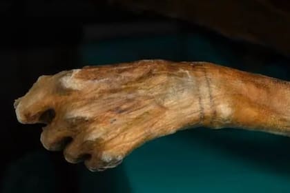 El calentamiento global reveló la existencia de momias congeladas y rutas vikingas en medio de Europa