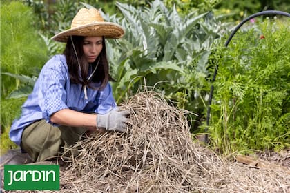 El calor, la radiación intensa y la falta de humedad pueden poner en jaque incluso a las especies más resistentes