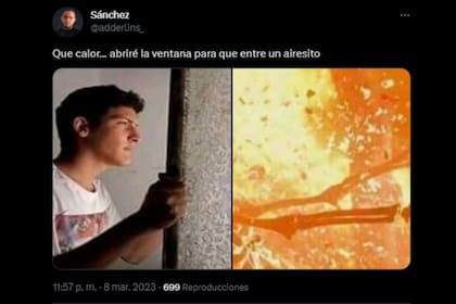 El calor sacó la imaginación en los memes (Captura Twiter)