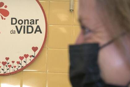 El cambio central que trae el Centro Regional de Hemoterapia es la concentración de la etapa intermedia: el procesamiento, la garantía de calidad y la selección de los hemoderivados