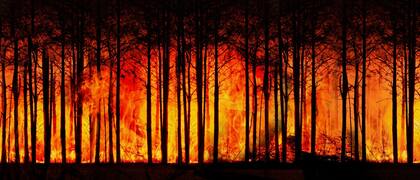 El cambio climático es un factor clave en este aumento, ya que genera temperaturas más altas y condiciones más secas (Foto: Pixabay)