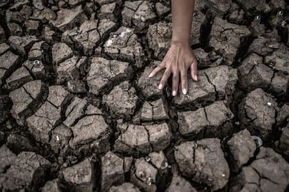 "El cambio climático está afectando gravemente la salud de las personas en todo el mundo", señaló el experto