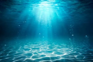 El cambio climático está provocando temperaturas récord en los mares de Europa, según científicos