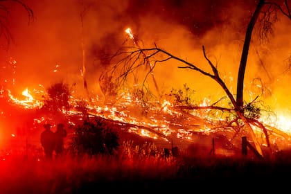 El cambio climático está secando la vegetación, haciendo que los paisajes sean más inflamables y aumentando así la probabilidad de que se produzcan incendios más grandes y peligrosos