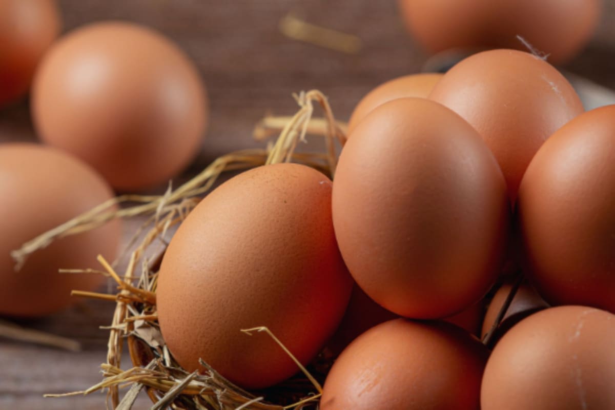 El cambio en las regulaciones de Colorado promete transformar la industria de los huevos.
