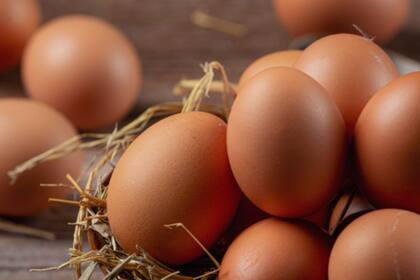 El cambio en las regulaciones de Colorado promete transformar la industria de los huevos.