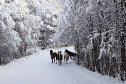 El camino a la escuela suele complicarse con las nevadas