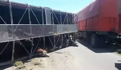 El camión que volcó. Captura video Hoy Mercedes
