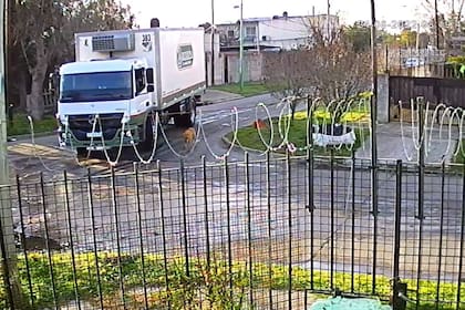 El camionero abandonó al perro agonizando