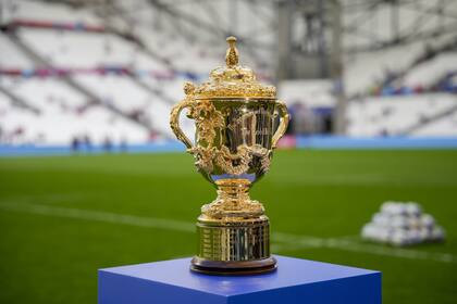 El campeón del Mundial de Rugby levantará el trofeo Webb Ellis el 28 de octubre en el Stade de France