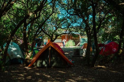 El Camping Miguel Lillo de Necochea tiene alida directa al mar y cuenta con control de accesos, seguridad, limpieza diaria de espacios comunes, Wi-Fi, proveeduría, restaurante, servicio de recreación y colonia para niños, quinchos cubiertos, piscina y áreas deportivas