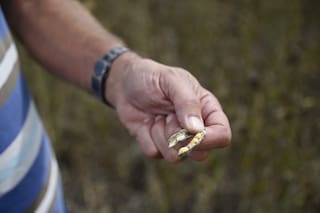 Aval con cautela del agro al nuevo esquema de control del Gobierno