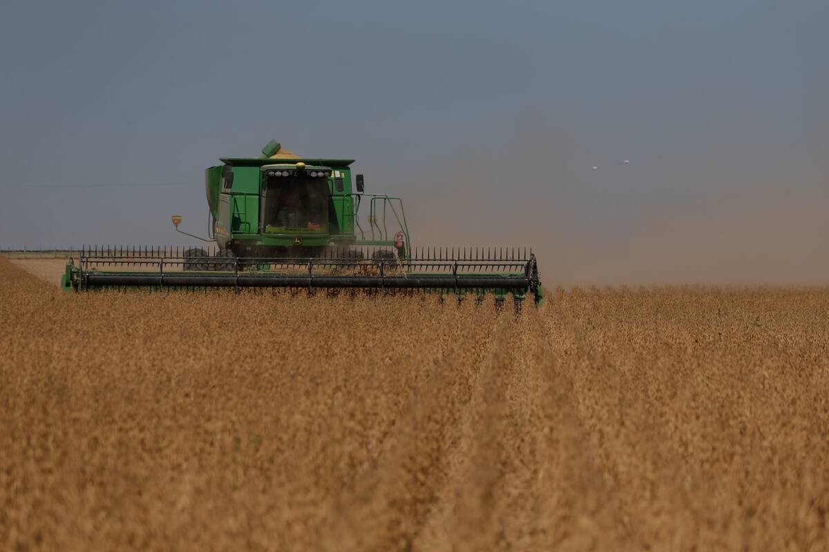 El campo argentino está formado por miles de emprendedores