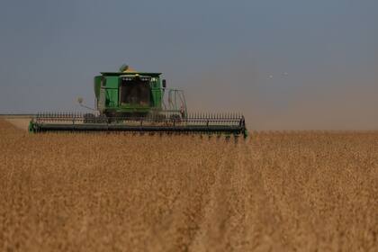 El campo argentino está formado por miles de emprendedores