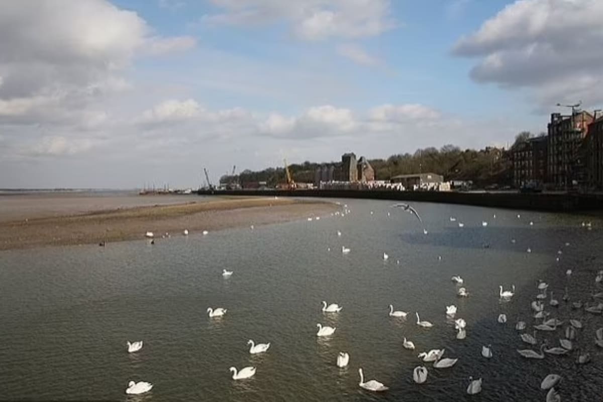 El campo cerca de Mistley en el río Stour, donde se dio el hallazgo