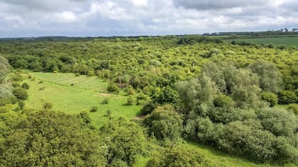 El campo cosechado pasó a ser una reserva natural llena de vida
