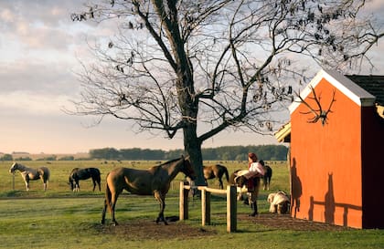 El campo de La Bamba, en San Antonio de Areco, se remonta a 1830 cuando formaba parte del recorrido del correo del Camino Real que unía Buenos Aires con el norte del país.