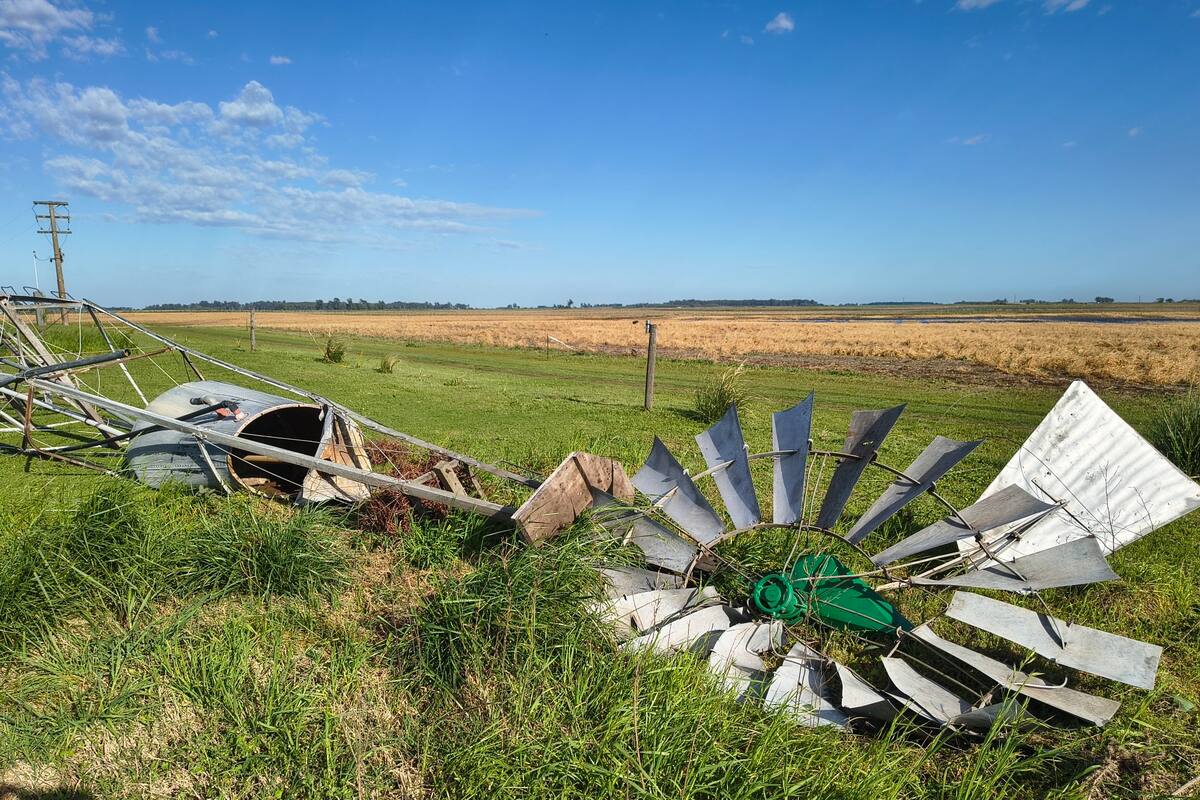 El campo del productor Miguel Hary, en la zona de Henderson, sufrió las consecuencias del viento