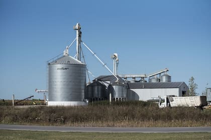 El campo es una carrera agroalimentaria