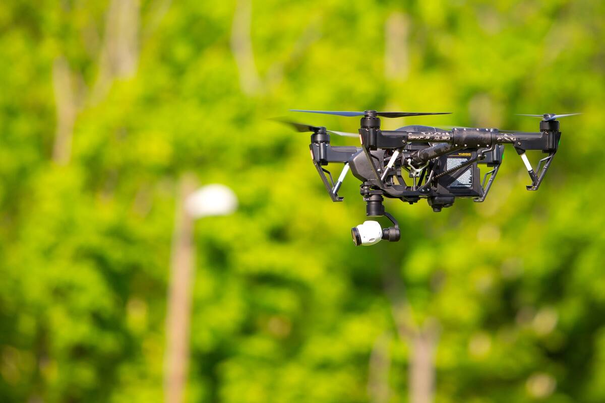 El campo está en constante cambio