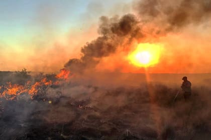 El campo está en Jagüel del Monte, un paraje en el cruce de las rutas 14 y 15, en La Pampa