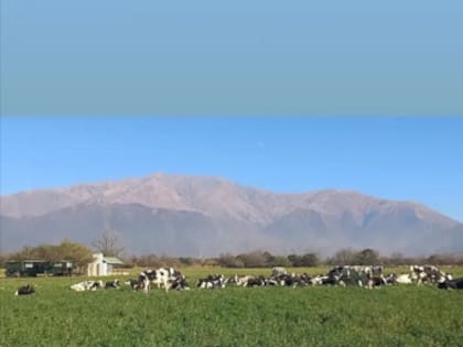 El campo está ubicada en el Valle de Lerma, en Salta, a 20 kilómetros de la ciudad capital