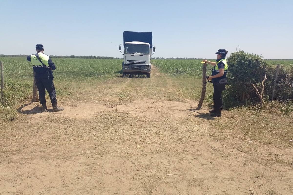 El campo está usurpado desde diciembre pasado, según los denunciantes