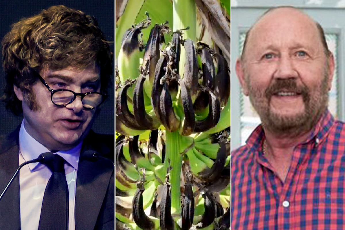 “El campo formoseño, especialmente el de la agricultura familiar, está atravesando una situación límite", dijo el dirigente de la FAA, Pánfilo Ayala, que, entre otras producciones, alertó sobre una crisis en la producción de bananas; plantearon pedidos a Javier Milei y Gildo Insfrán