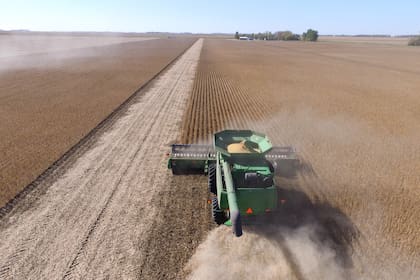 El campo requiere normas claras