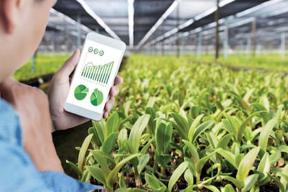 El campo también es terreno fértil para el desarrollo de la inteligencia artificial