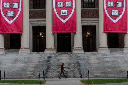 El campus de la Universidad de Harvard en Cambridge, Massachusetts, 6 de septiembre de 2024