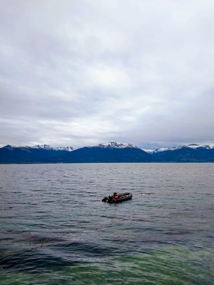 El Canal de Beagle desde Alma Yagan