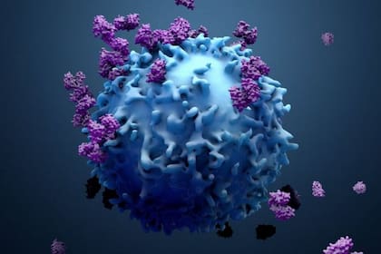 El cáncer afecta al conjunto del reino animal pluricelular