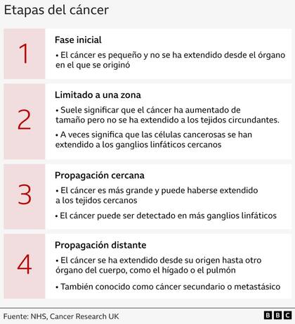 El cáncer en sus distintas fases.