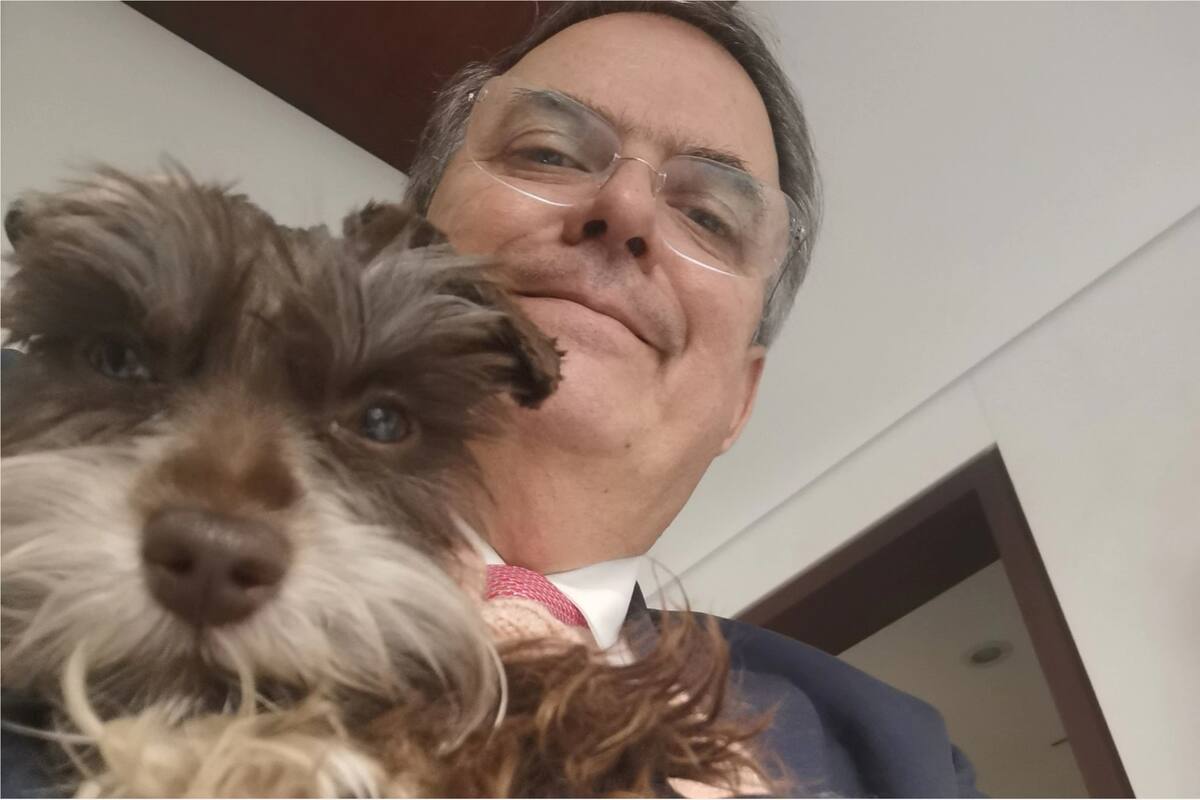 El canciller mexicano, Marcelo Ebrard, junto a su perra Luna, en una foto difundida en redes sociales el 17 de junio de 2022 (Crédito: Instagram/@marcelo.ebrard)