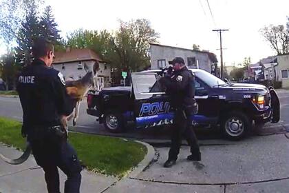 El canguro Irwin fue capturado por la policía de Durango después de su segunda fuga. Foto: Departamento de Policía de Durango