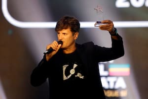 Premios Estrella de Mar 2024: Ciro Martínez se llevó el Oro y afirmó: “El arte rinde dividendos”