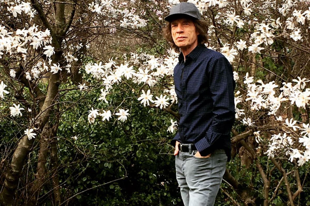 El cantante de los Stones, Vivito y coleando