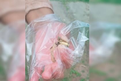 El cantante habría efectuado un disparo apuntando al suelo (Foto difundida por los vecinos)