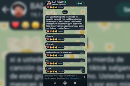 El cantante se mostró molesto a través de su canal de difusión (Captura WhatsApp)