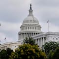 A los norteamericanos les quedan solo un par de meses para salvar su democracia