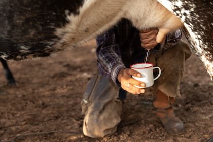 El “capuccino de las yungas”: en una taza vierte alcohol a 96º, un poco de azúcar y la leche fresca que forma una espuma frondosa.